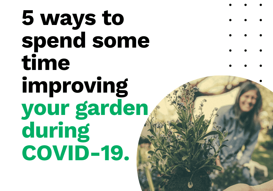 5 ways to spend some time improving your garden during COVID-19